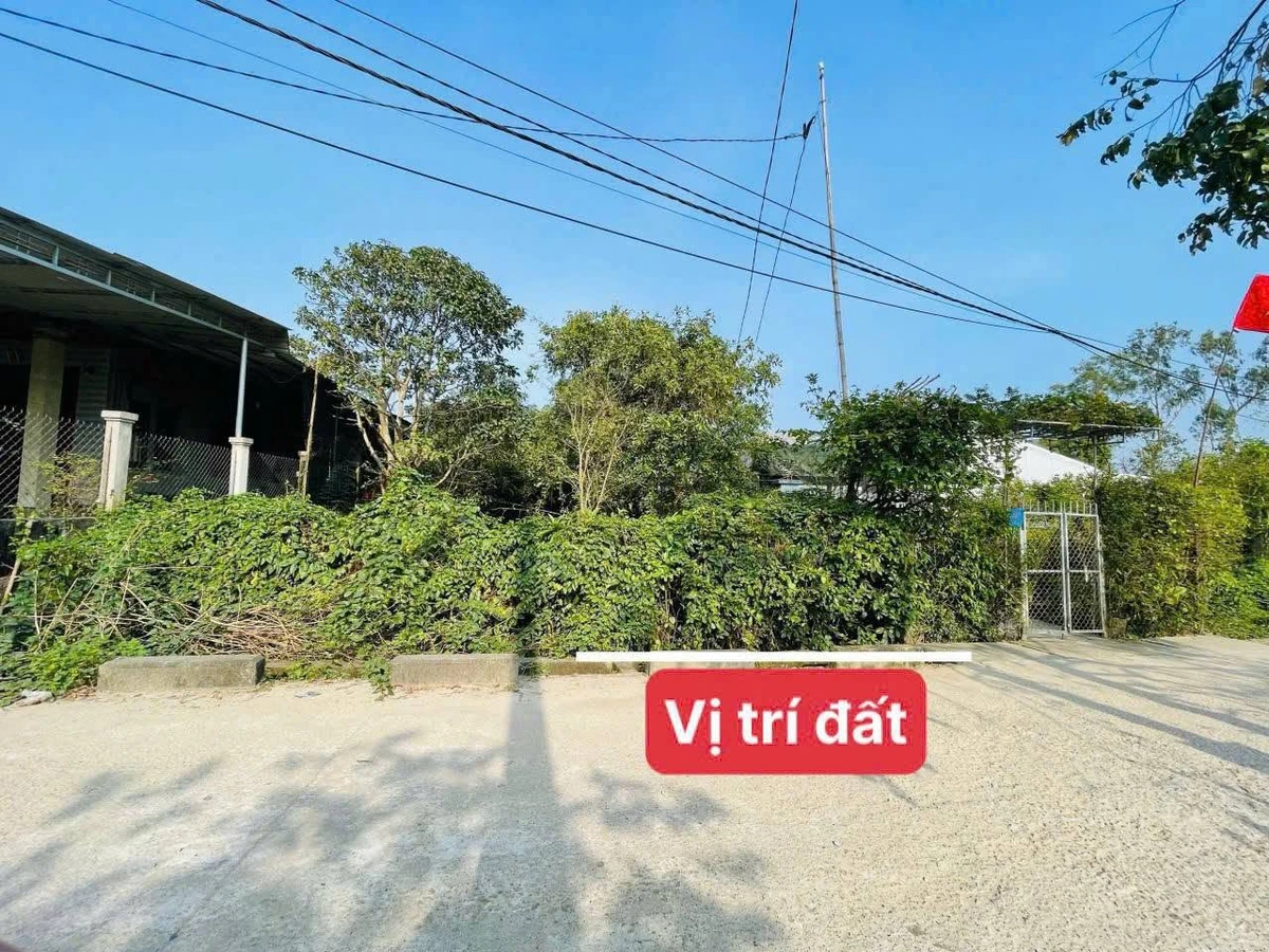 Bán đất mặt tiền Nguyễn Văn Chư Thủy Phương 142m² 1,6 tỷ - Ảnh thu nhỏ 4
