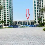 Từ 6 tỷ căn góc 3 mặt tiền 7m, 6 tầng, hướng ĐN, trước triển lãm Expo Vin Cổ Loa LS 0%60th, VC 10% - Ảnh thu nhỏ 23