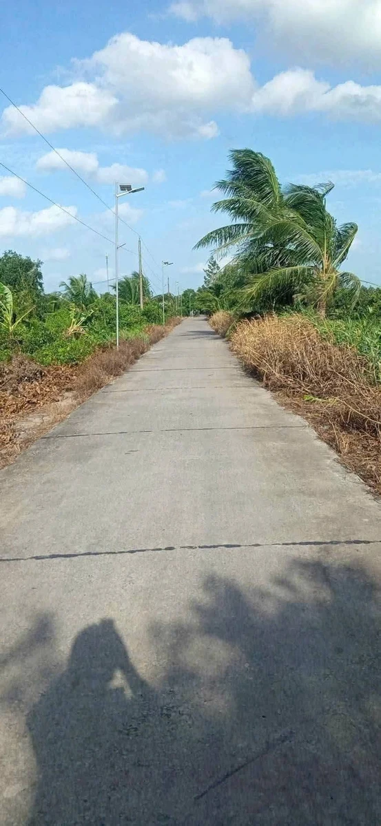 Bán nền đất vườn mặt tiền 515m2 Tây Ninh 1.9 tỷ - Ảnh thu nhỏ 3