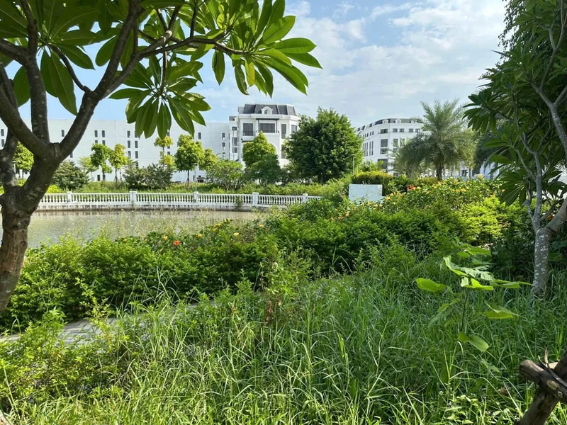 Bán đất mặt tiền Mai Thị Lựu 230m2, giá 14,5 tỷ 0xxtr