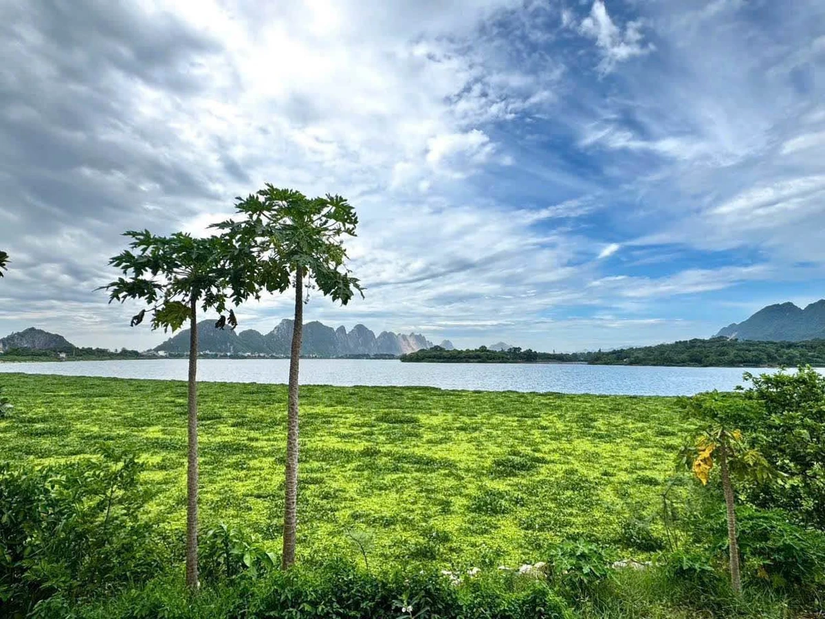 Bán lô đất view hồ Đồng Sương 1639m2 tại Liên Sơn, Phú Thọ - Ảnh thu nhỏ 3