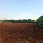 Bán đất Láng Lớn Kim Long 3000m2, 3 tỷ - Ảnh thu nhỏ 3