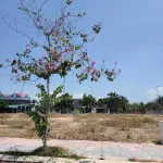 Lô góc khu K2 cách biển Bình Sơn vài bước chân, ngay chung cư Ocean City - Ảnh thu nhỏ 17