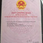 Giảm mạnh đất 541m2 thổ cư Tân Mỹ, Đức Hòa, Long An (nay là Hậu Nghĩa, T Tây Ninh) | ngang 12m - Ảnh thu nhỏ 8