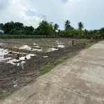 Bán đất thổ cư 5x33m đường Đan Tây Ninh 330 triệu - Ảnh thu nhỏ 1