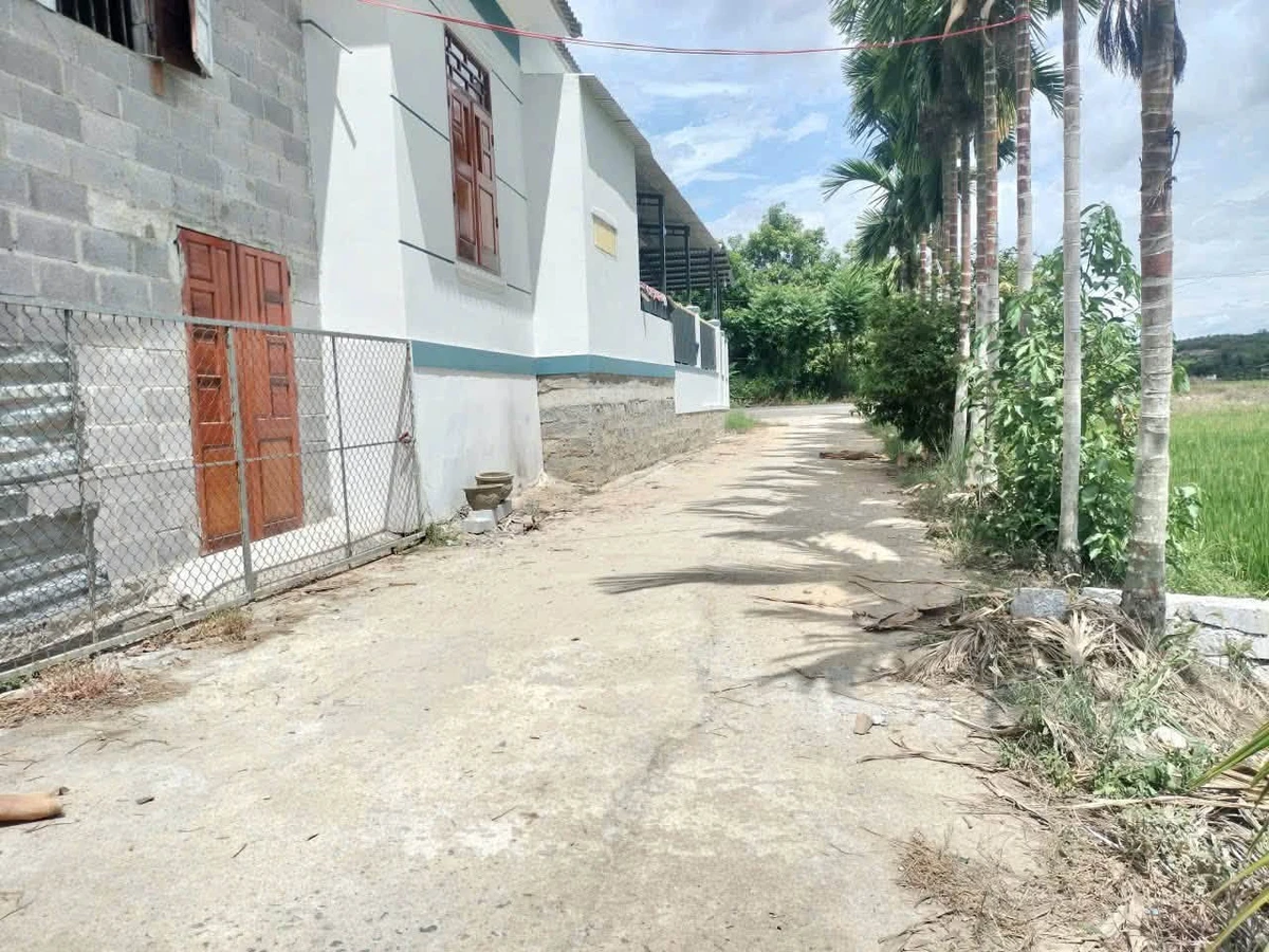 Bán lô đất Diên Lâm 75m2 gần Cầu Phú Cốc - Ảnh thu nhỏ 2