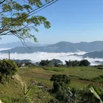 Bán đất đẹp tại Vân Hồ, 4 tỷ, 2700m2, nhiều tiện ích hấp dẫn - Ảnh thu nhỏ 3