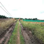 Bán đất 2000m2 giá 450 triệu Tây Ninh - Ảnh thu nhỏ 2