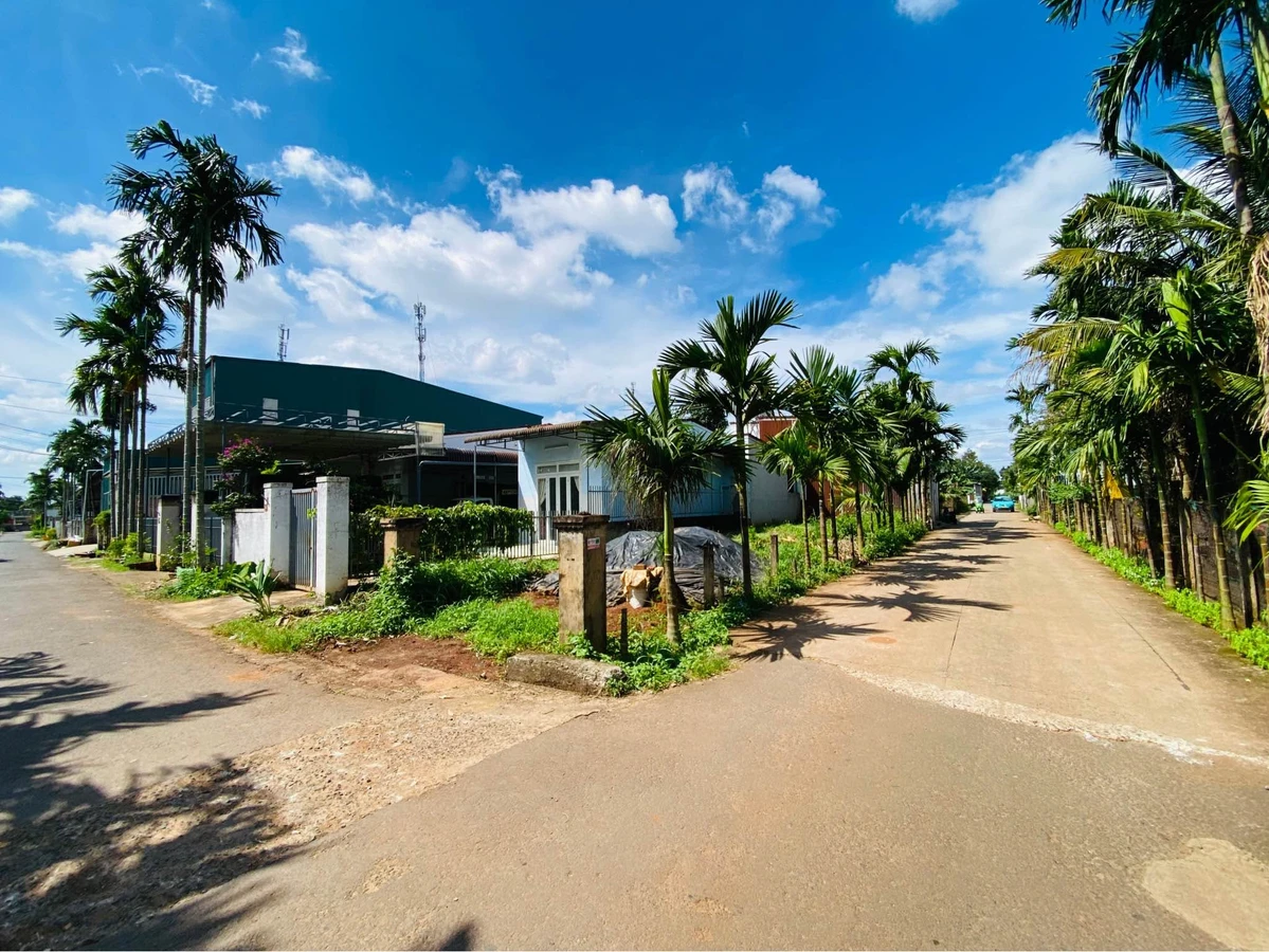 Bán đất góc 2 mặt tiền Đạt Lý 156m² - 1 tỷ 690 triệu - Ảnh thu nhỏ 3