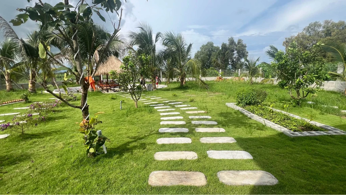 Bán vườn 1.600m² Hàm Chính Bình Thuận 1 tỷ 790 - Ảnh thu nhỏ 5