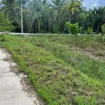 Bán đất 639m2 mặt tiền ngang 14m giá 1,5 tỷ tại An Thạnh, Mỏ Cày Nam, Bến Tre - Ảnh thu nhỏ 1
