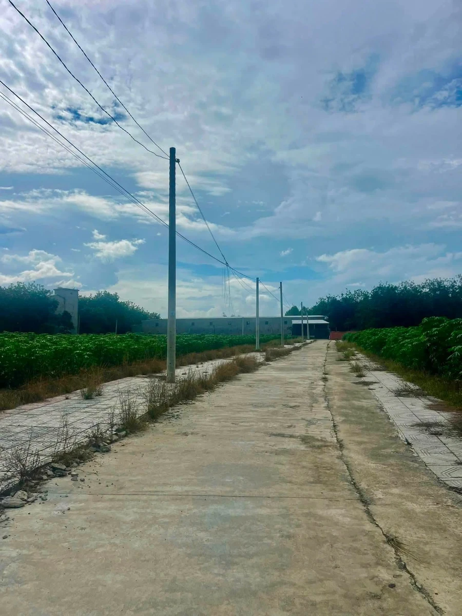 Bán đất nền 240m2 gần KCN Becamex, giá 595 triệu - Ảnh thu nhỏ 3