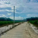 Bán đất nền 240m2 gần KCN Becamex, giá 595 triệu - Ảnh thu nhỏ 3