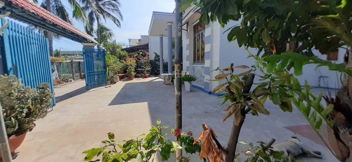 Bán NR giá siêu hời tại Hẻm 13, Quốc lộ 1A, 3,3 tỷ, 400m2 - Ảnh thu nhỏ 2
