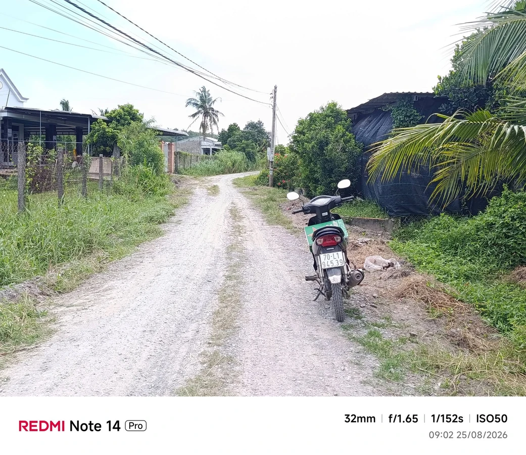 Bán đất Phường An Tịnh, Trảng Bàng, 50m², 590 triệu - Ảnh thu nhỏ 2
