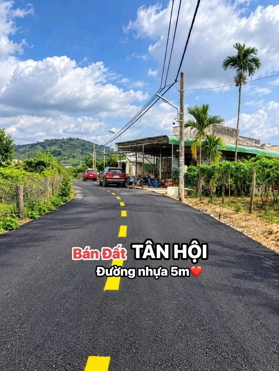 Bán đất Tân Hội 260m² sổ hồng riêng 990 triệu - Ảnh 1
