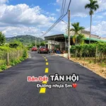 Bán đất Tân Hội 260m² sổ hồng riêng 990 triệu - Ảnh thu nhỏ 1
