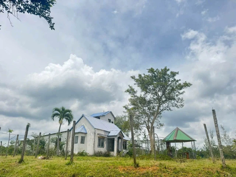 Bán đất nông nghiệp 2ha Eakao, Buôn Ma Thuột, 400 triệu/sào