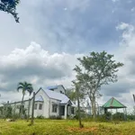 Bán đất nông nghiệp 2ha Eakao, Buôn Ma Thuột, 400 triệu/sào - Ảnh thu nhỏ 1