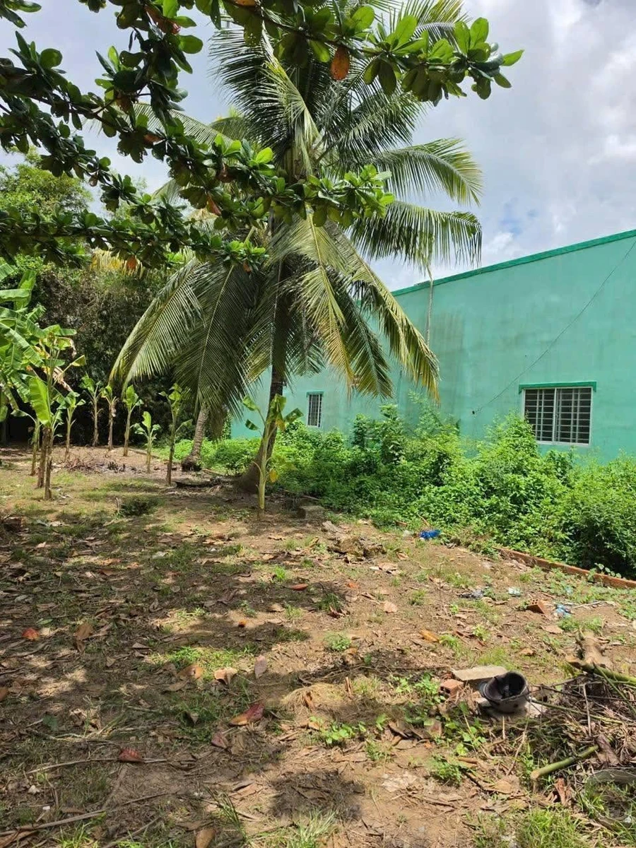 Bán đất nền Phú Hưng Bến Tre 132,8m² giá 450 triệu - Ảnh thu nhỏ 3