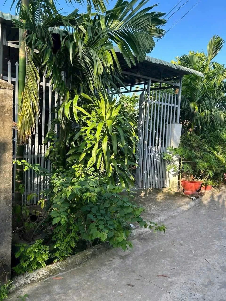 Bán đất rộng 351m² 2 phòng ngủ Tây Ninh 1 tỷ 390tr - Ảnh thu nhỏ 2