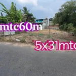 Bán đất Tân Định Bến Cát 155m² 1 tỷ 890 triệu - Ảnh thu nhỏ 1