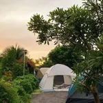 Bán farm 1,6 hecta Ninh Hưng, Ninh Hòa, giá 5,8 tỷ - Ảnh thu nhỏ 5