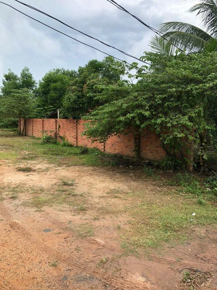 Bán đất 13x25m (325m²) Thạnh Phước Gò Dầu 1 tỷ 450 - Ảnh thu nhỏ 2