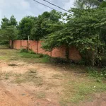 Bán đất 13x25m (325m²) Thạnh Phước Gò Dầu 1 tỷ 450 - Ảnh thu nhỏ 2