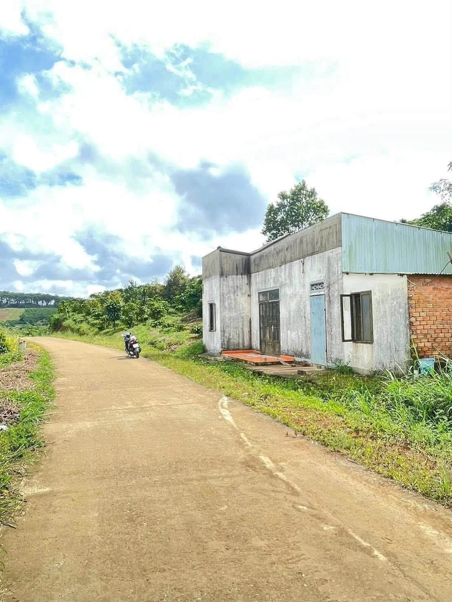 Bán đất 2713m² mặt tiền Tôn Thất Thuyết, Bảo Lộc - Ảnh thu nhỏ 5