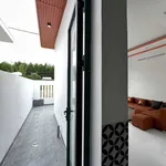 Nhà cấp 4 3PN gần chợ Thạnh Phú, 84m², 1 tỷ - Ảnh thu nhỏ 3