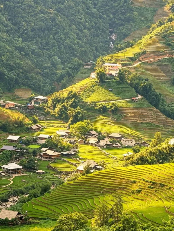 Bán nhà sàn 2 tầng homestay 1000m² Sa Pa
