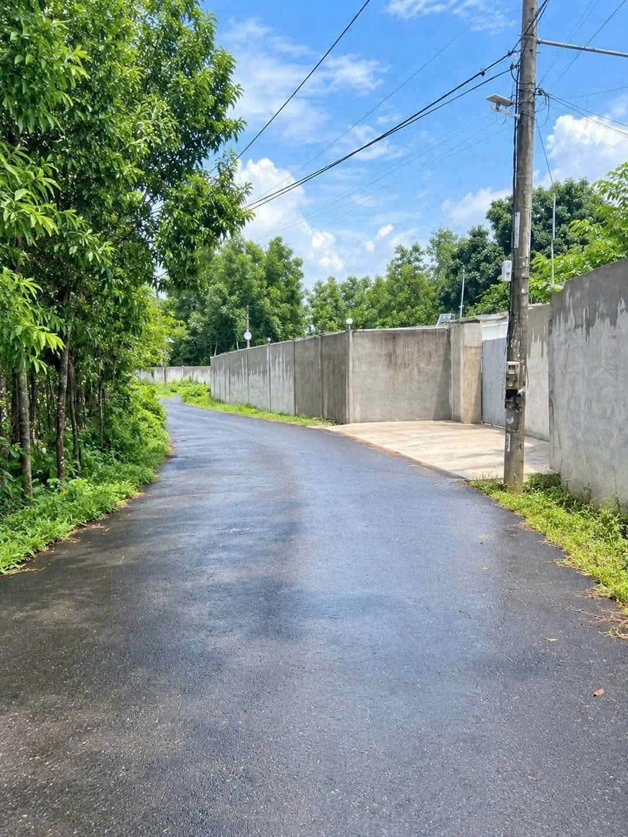 Bán đất 1 sào 3 Đá Bạc Nghĩa Thành 1,25 tỷ - Ảnh thu nhỏ 5