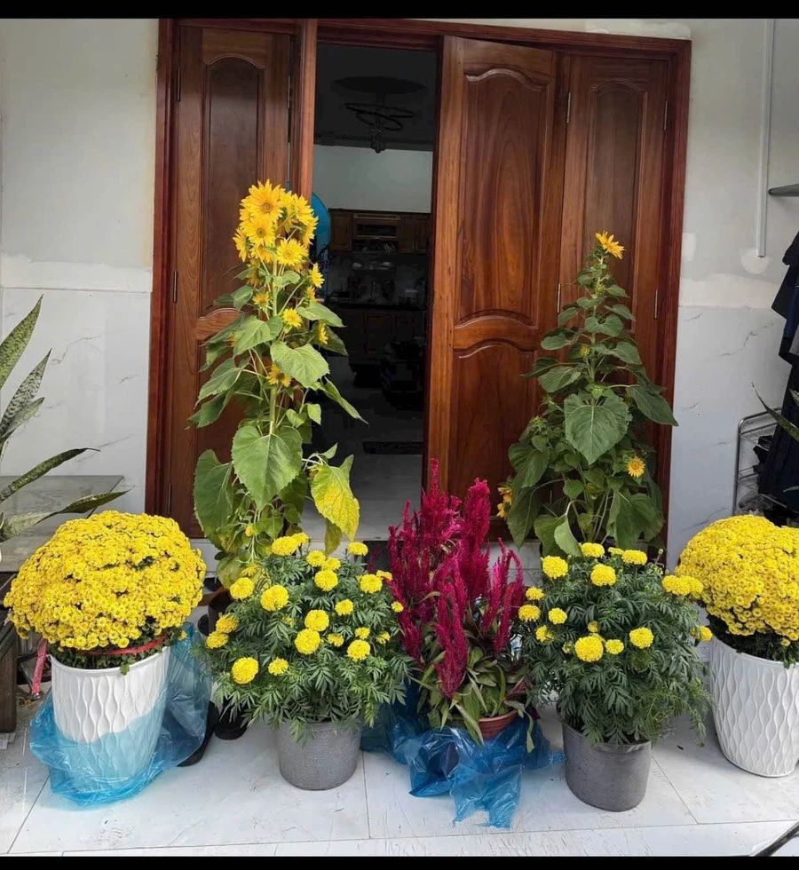 Bán nhà 3 phòng ngủ 83.75m² Tân Hiệp Bình Dương 1.65 tỷ - Ảnh 1
