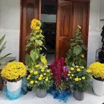 Bán nhà 3 phòng ngủ 83.75m² Tân Hiệp Bình Dương 1.65 tỷ - Ảnh thu nhỏ 1