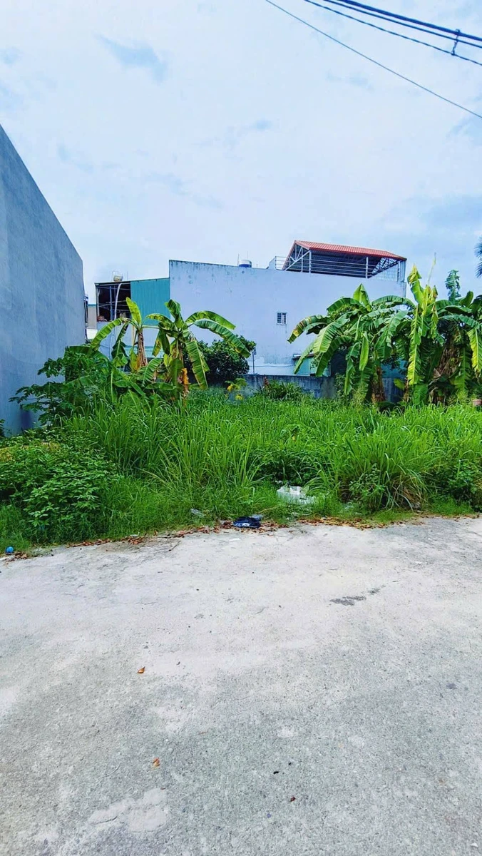 Bán đất nền 115m² Tân Triều, 3.9 tỷ - Ảnh thu nhỏ 3