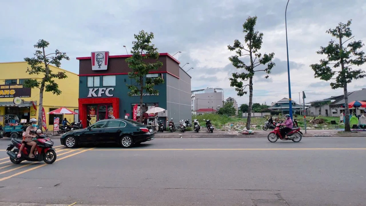Đất 2 mặt tiền Hóc Môn 1.933m² giá 128 tỷ - Ảnh thu nhỏ 3