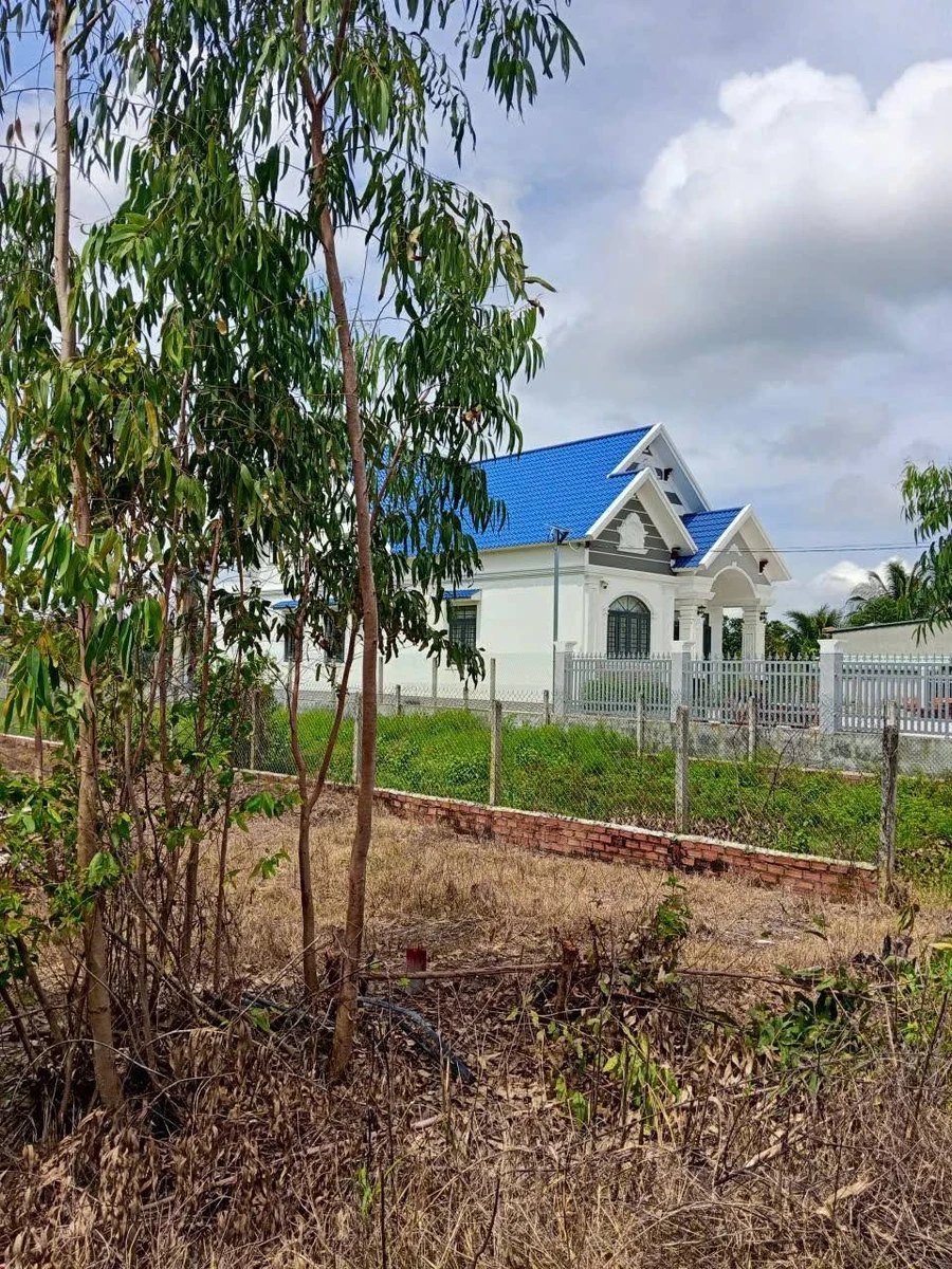 Bán đất 5x68m (340m²) sổ CLN Tân Biên, Tây Ninh - Ảnh thu nhỏ 3