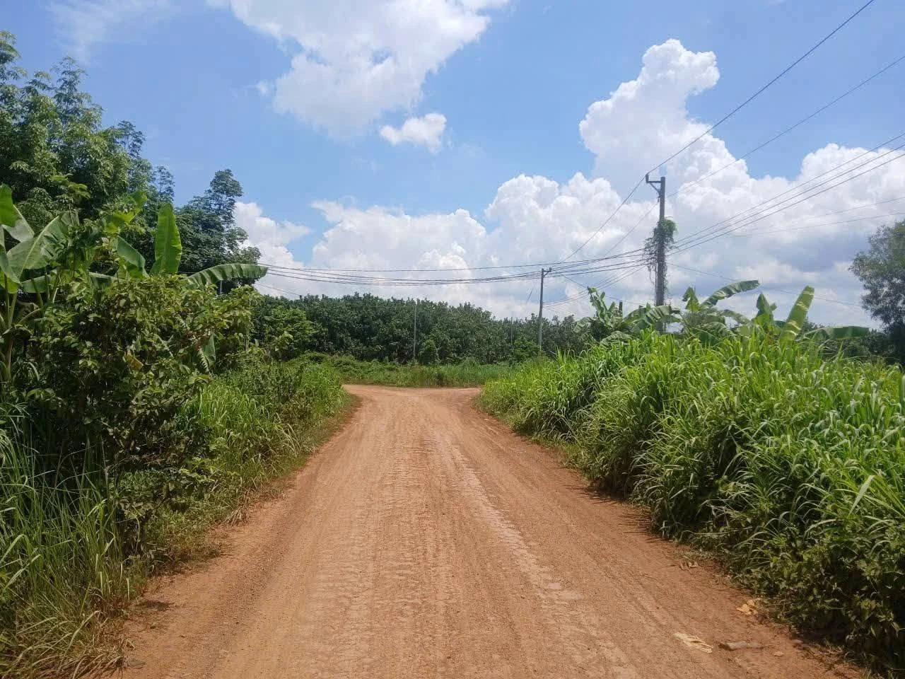 Bán 2,1ha đất thổ cư tại Đồng Phú, Bình Phước, giá 12 tỷ - Ảnh 1