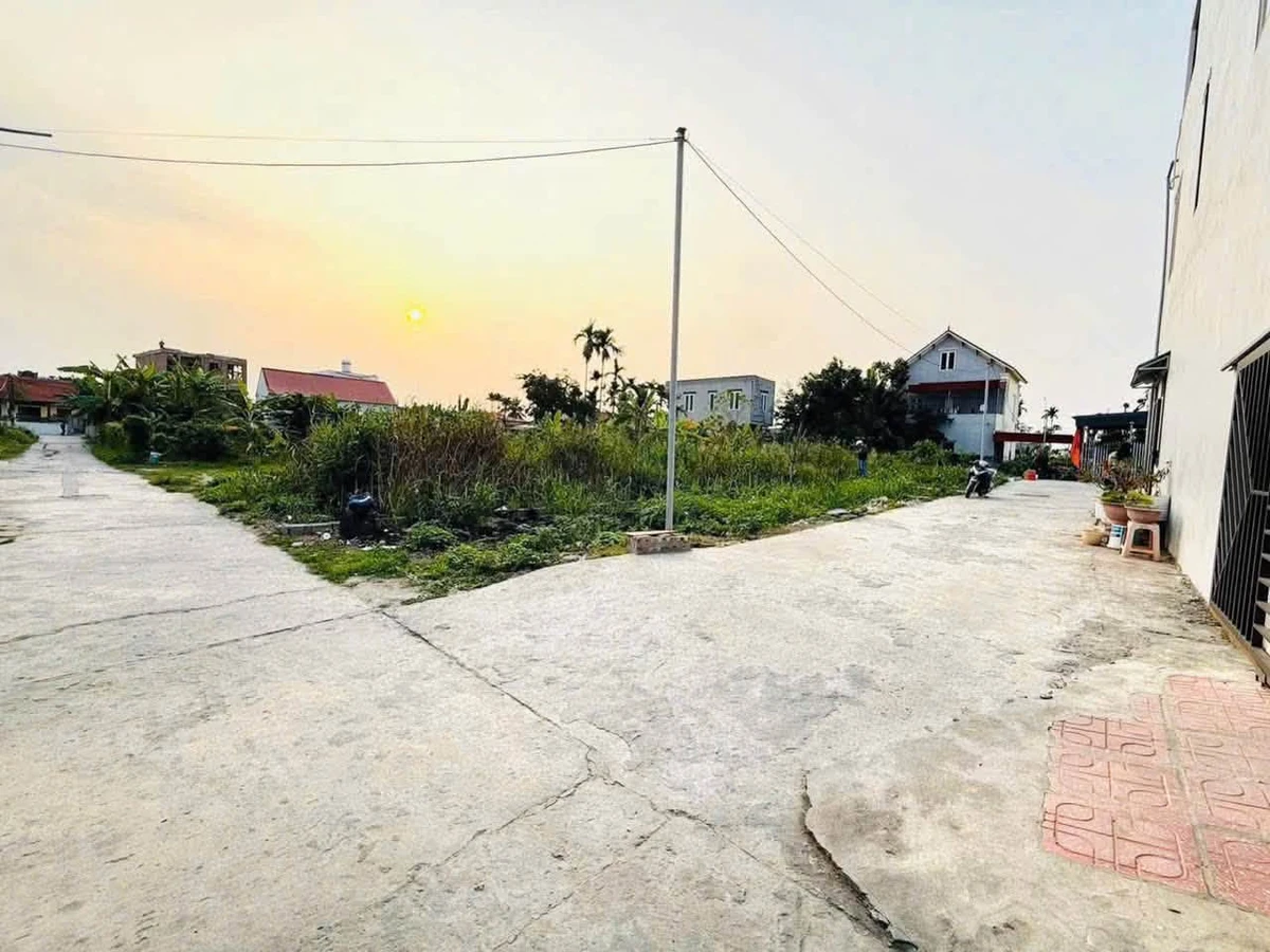 Bán lô góc 62,5m2 tại TDP Quang Trung, Hải Phòng 1,2 tỷ - Ảnh thu nhỏ 3