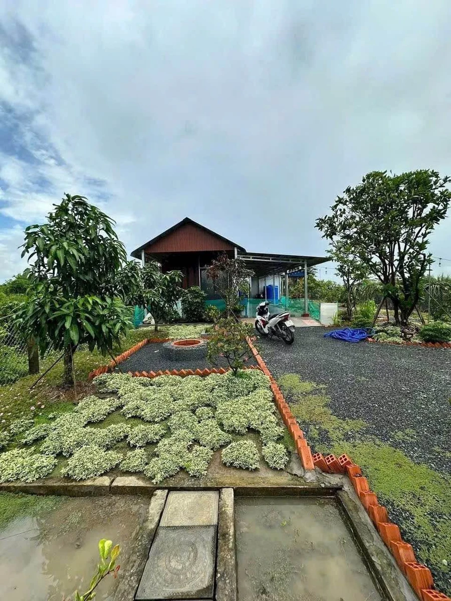 Bán nhà vườn 1000m2 Hoà Phú Châu Thành Long An giá 1 tỷ 350 - Ảnh thu nhỏ 3