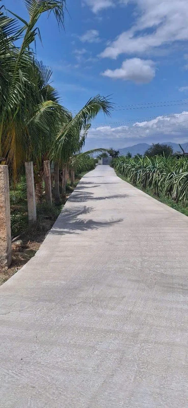 Bán đất 1300m² trồng cây ăn trái Hàm Liêm 850 triệu