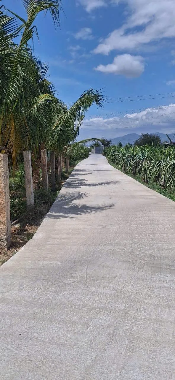 Bán đất 1300m² trồng cây ăn trái Hàm Liêm 850 triệu - Ảnh 1