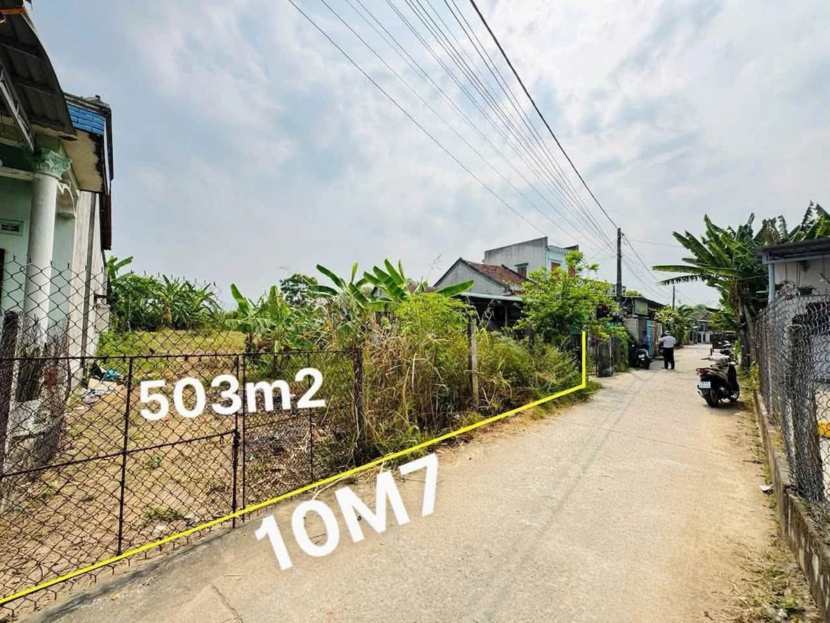 Bán đất 503m² thổ cư xã Sơn Thành Cần Giờ - Ảnh thu nhỏ 3
