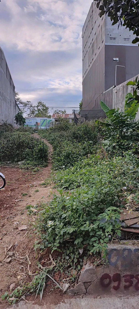 Bán đất 2 mặt tiền Dã Tượng 165m² gần Eco City - Ảnh thu nhỏ 3