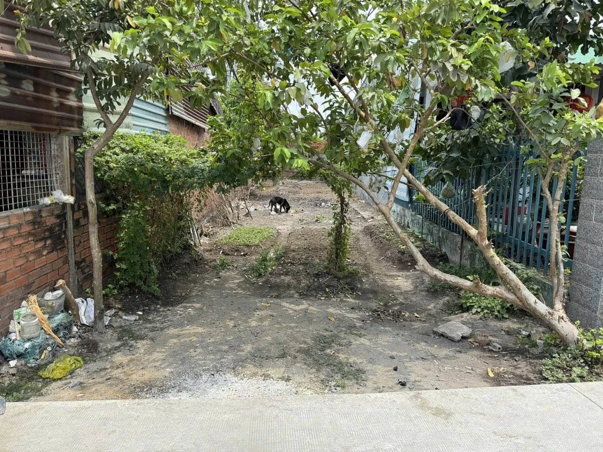 Bán đất Hóc Môn gần THPT Võ Văn Tần 127.5m² sổ riêng - Ảnh thu nhỏ 3