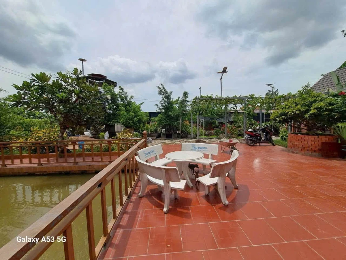 Bán đất vườn 1889m² tại Phước Lợi, Bến Lức 11 tỷ - Ảnh thu nhỏ 5