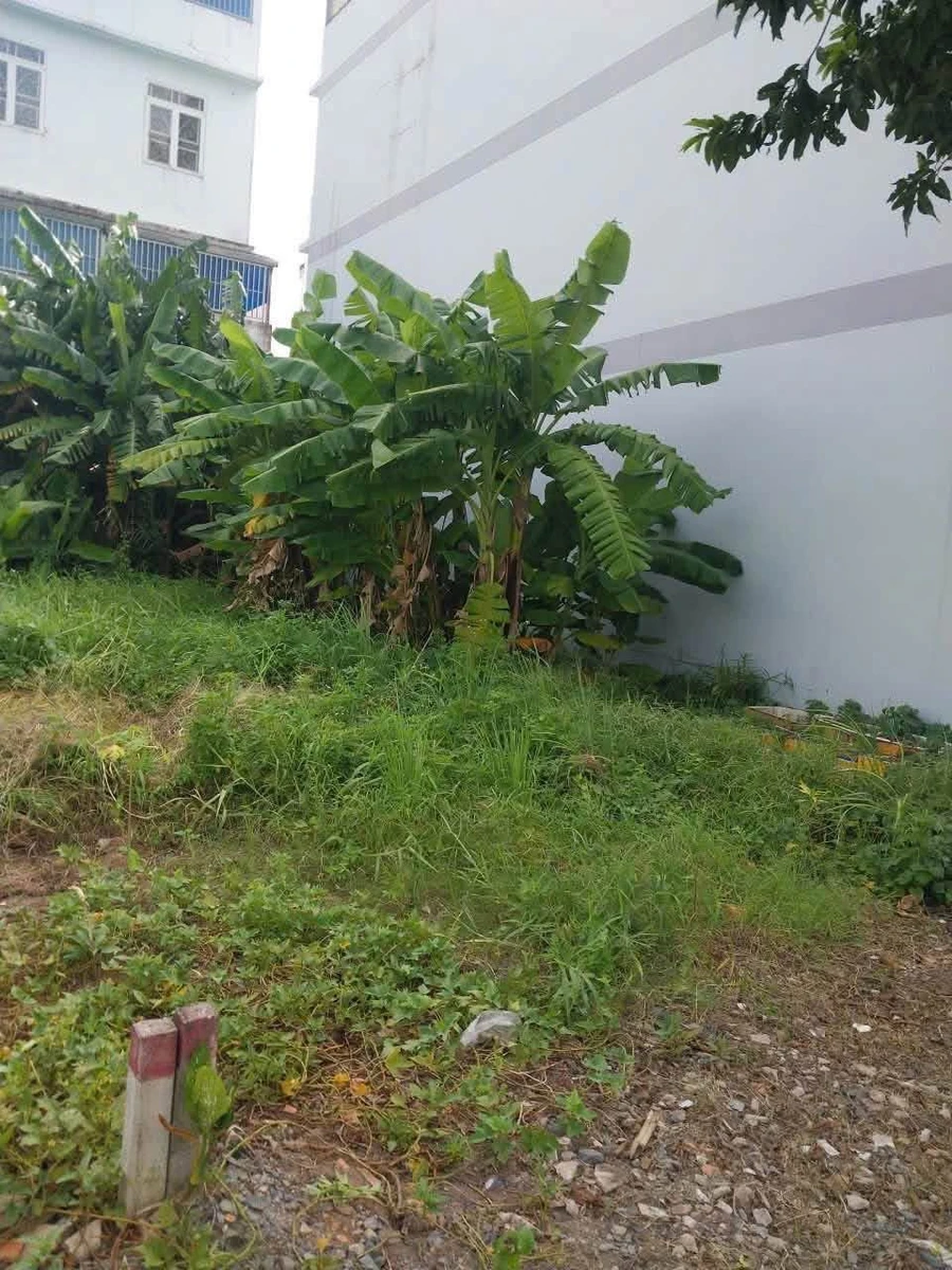 Bán đất 140m2 Lê Thị Riêng Quận 12 - Ảnh thu nhỏ 5