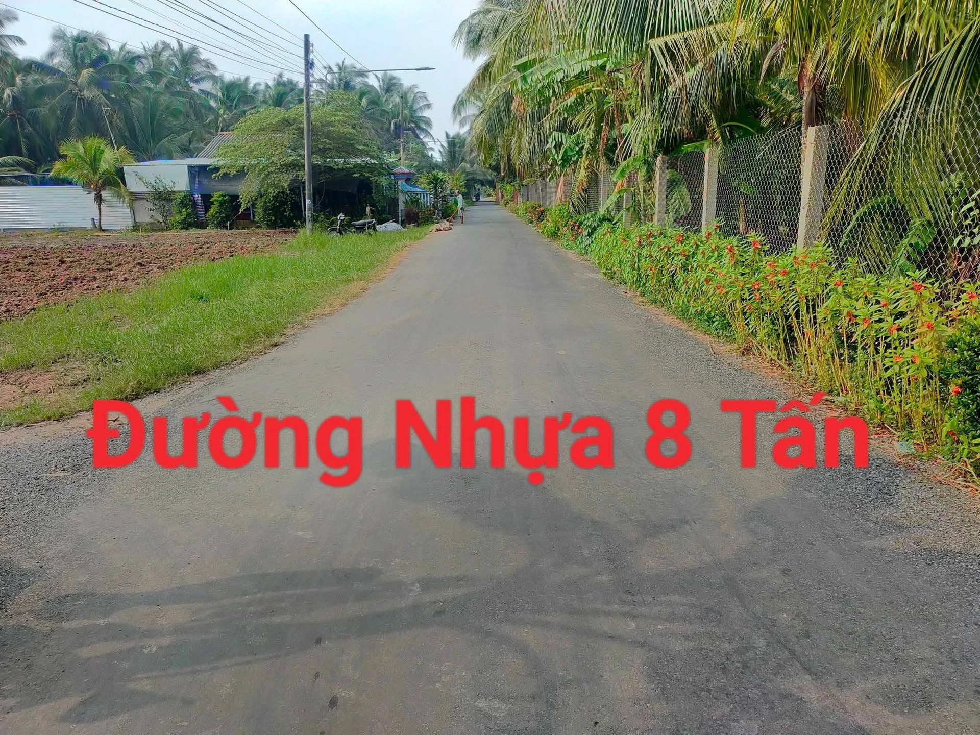 Bán đất 140m2 (5x28m) ấp An Khương, xã An Thạnh Thủy, Chợ Gạo, giá 390 triệu/lô - Ảnh 1