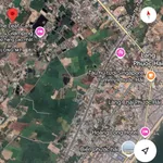 Bán đất 940m² mặt tiền Tỉnh Lộ 44B, Phước Hải 5.9 tỷ - Ảnh thu nhỏ 3